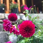 Krojet E Rrogamit Valbone