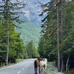 Bed & Breakfast Krojet E Rrogamit 3*