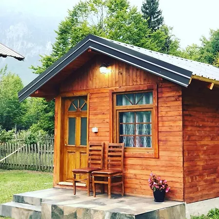 Krojet E Rrogamit
