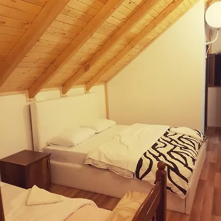 Krojet E Rrogamit 3*