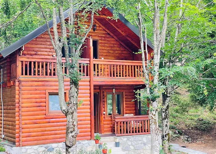 Krojet E Rrogamit 3*