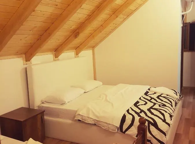 Krojet E Rrogamit 3*