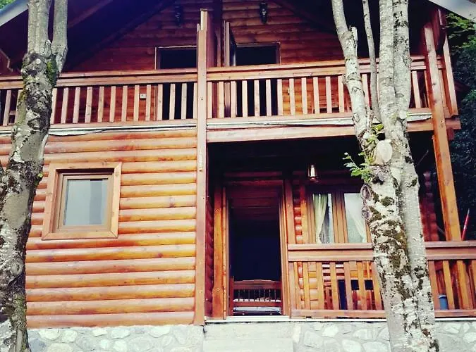 Krojet E Rrogamit 3*