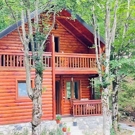 Krojet E Rrogamit 3*