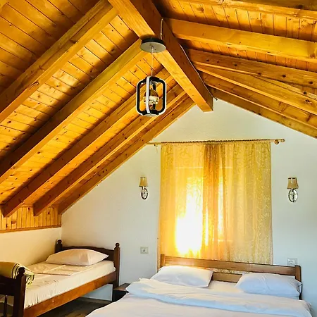 Krojet E Rrogamit 3*