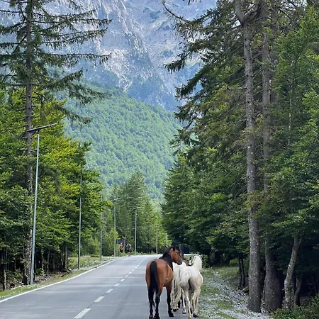 فندق مبيت وإفطار Krojet E Rrogamit 3*