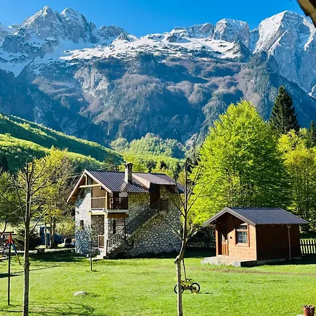 Krojet E Rrogamit 3*