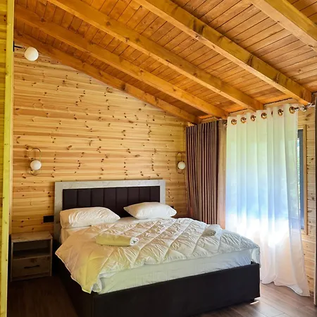 Krojet E Rrogamit 3*