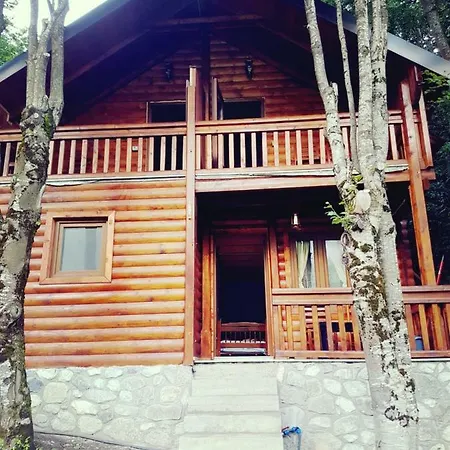 Krojet E Rrogamit 3*