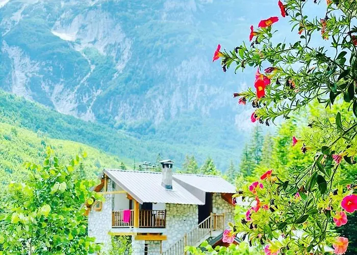 Krojet E Rrogamit B&B 3*