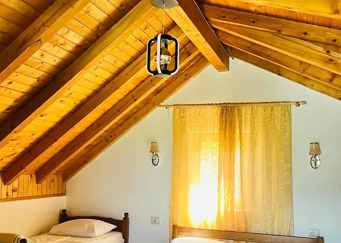 Krojet E Rrogamit 3*