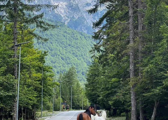 B&B Krojet E Rrogamit 3*