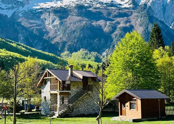 Krojet E Rrogamit 3*