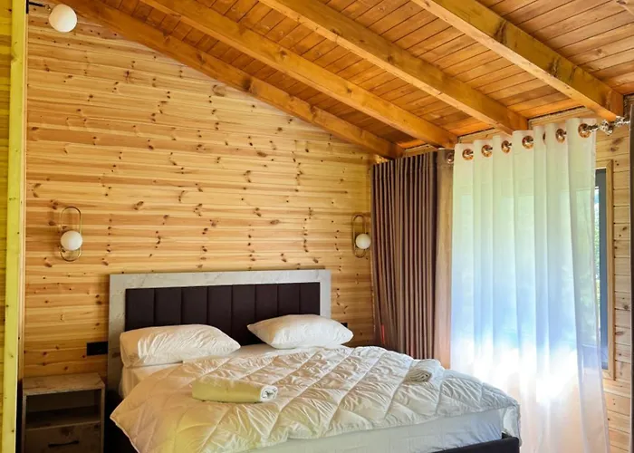 Krojet E Rrogamit 3*